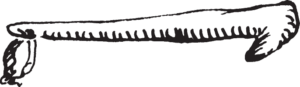Figure 13.15. Elk-antler war club.