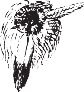 Figure 16.13. Hair ornament.