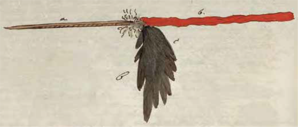 Figure 6.37. Lance: “long black feathers are usually fastened in ‘c’; ‘a’ is the bare blade, ‘b’ the shaft, covered with red woolen material; about 6 feet long in all.”