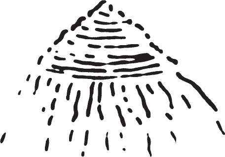 Figure 9.6 Dome-shaped hill. Refined and reproduced as a woodcut in the Reise.