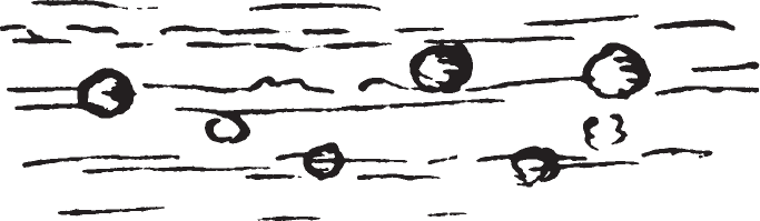 Figure 9.12. Spherical concretions at the mouth of the Cannonball River.