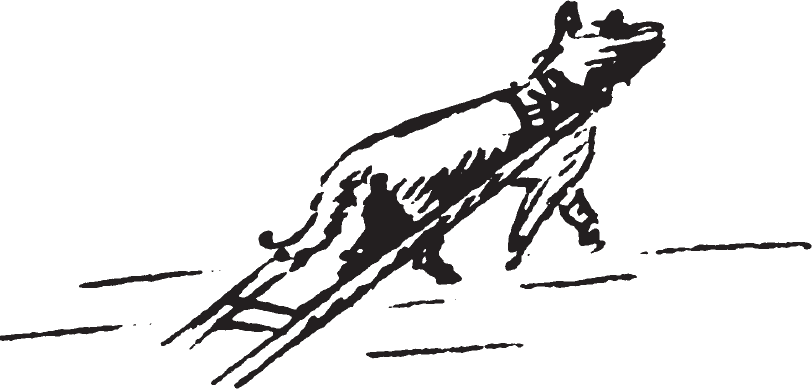 Figure 9.32. Hidatsa dog.