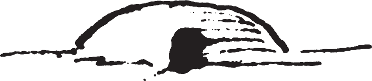 Figure 9.40. Hidatsa winter lodge.