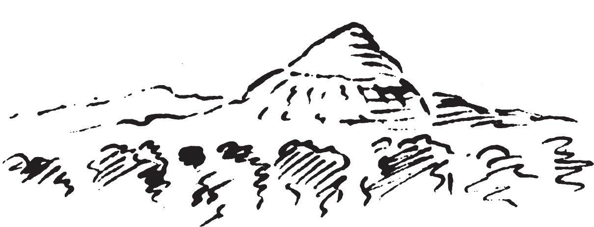 Figure 9.41. Hill rising behind forest.