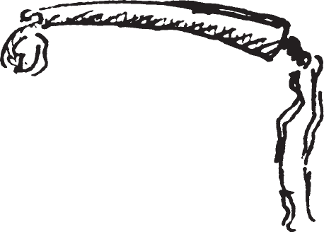 Figure 10.17. Riding whip or quirt.