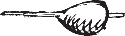 Figure 10.21. Calabash rattle..