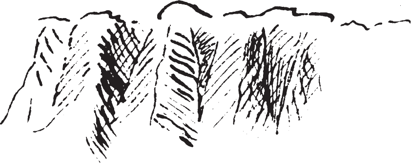 Figure 11.2. Steep riverbank.