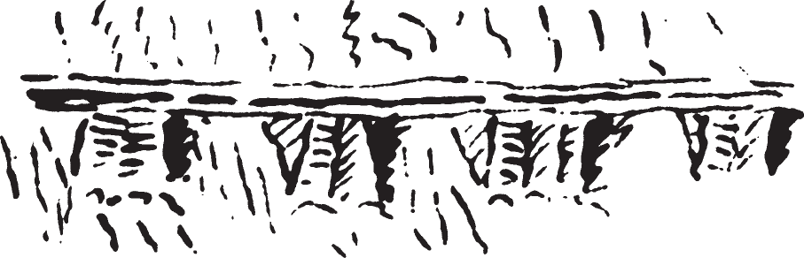 Figure 11.20. “Sandstone ledges.”