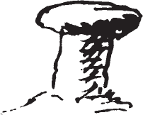 Figure 11.37. Rock formation.