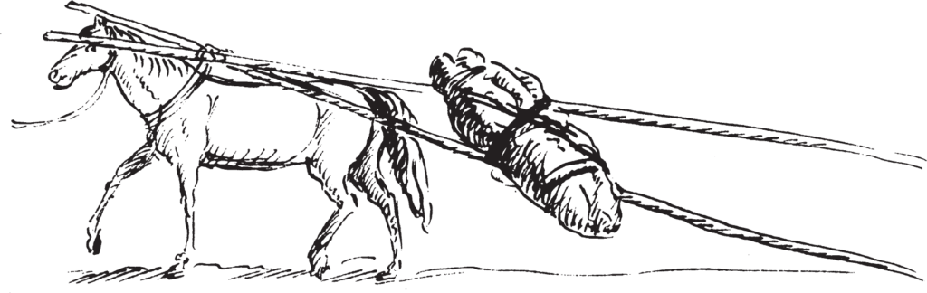 Figure 12.7. Horse with travois transporting a wrapped Piegan corpse.