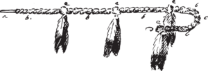 Figure 12.20. Medicine flag.