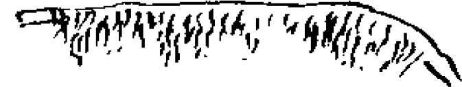 Figure 5.9.