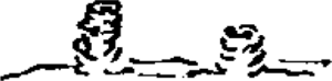 Figure 6.5. Mud tubes or chimineys made by crawfish (Cambarus diogenes, devil crawfish).
