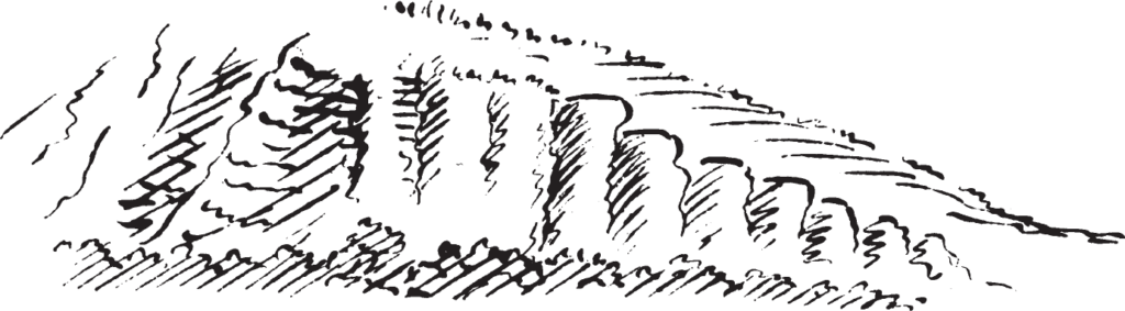 Figure 7.21. Bank of the Missouri. A faint, penciled “B B” under the ink at the top of this drawing may have been a reference to another, earlier rendering of this subject that the prince copied into his journal here.