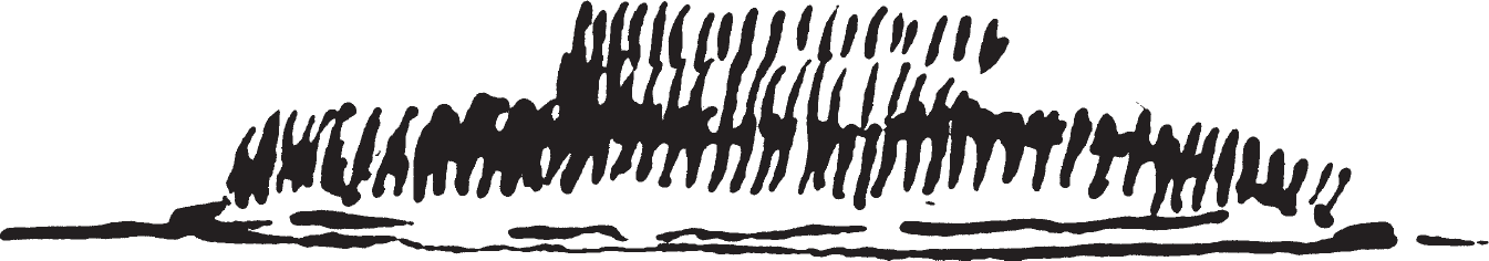Fig. 7.24. Missouri island “in the shape of a hat.”