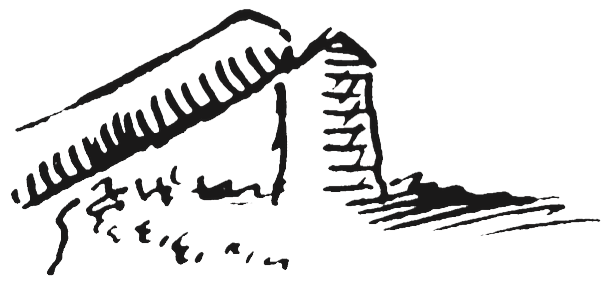 Figure 8.25. Beaver-felled tree.