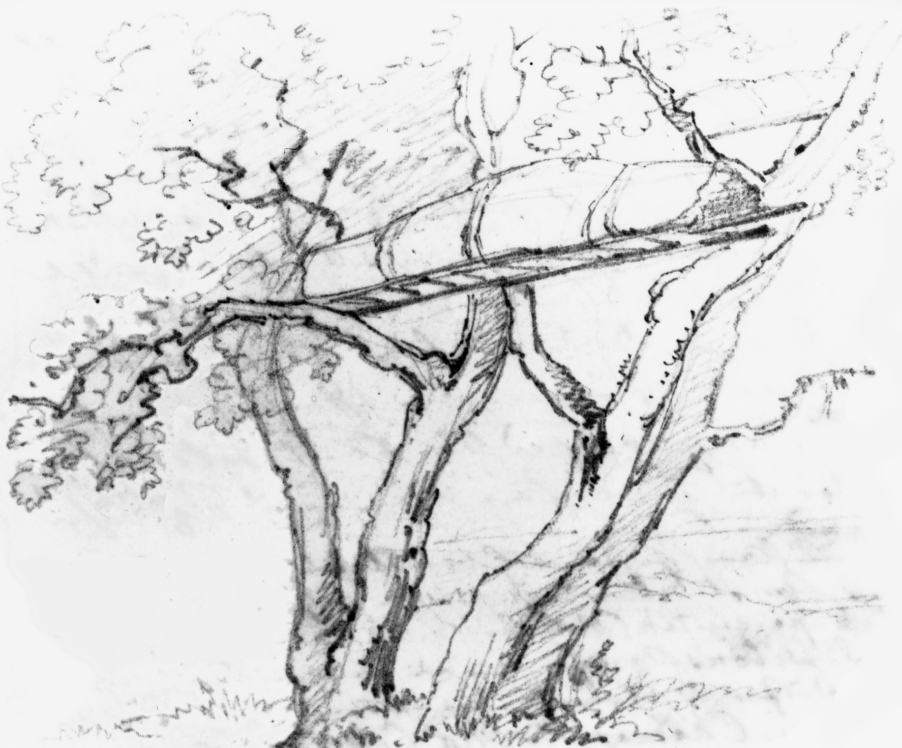 Figure 8.53. Dacota burial scaffold.
