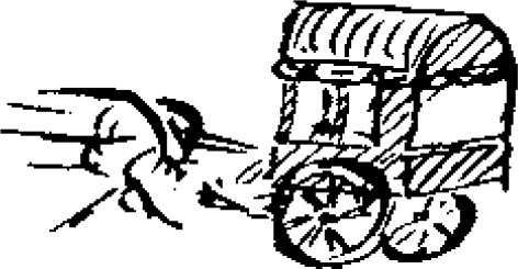 Figure 2.4. Cabriolet.
