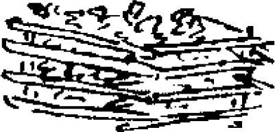 Figure 2.25. Protective fence for sapling