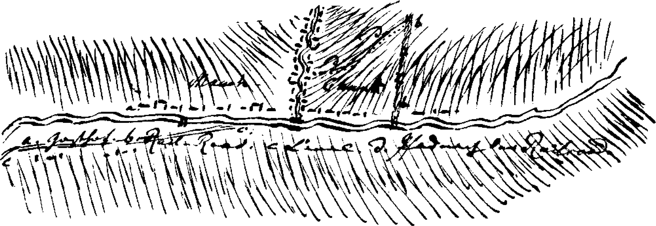 Figure 3.8. Map of Mauch Chunk: “‘a,’ inn; ‘b,’ railroad; ‘c,’ canal; ‘d,’ path to the railroad.”