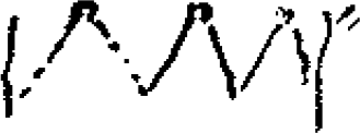 Figure 4.5. Fish weir.